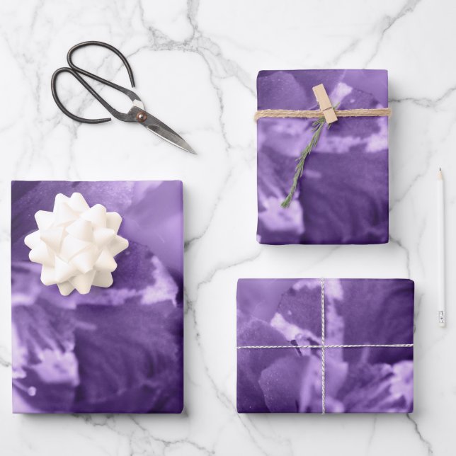 Monochrome Violette Geschenkpapier Set (Vorderseite)