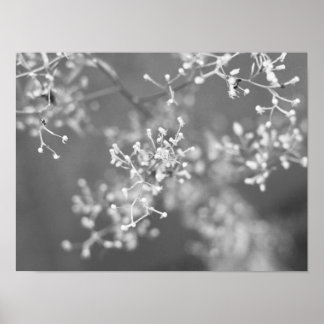 Monochrome Wiese Poster