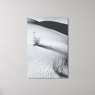 Monochrome Wüstenlandschaft mit Grasbüscheln Leinwanddruck