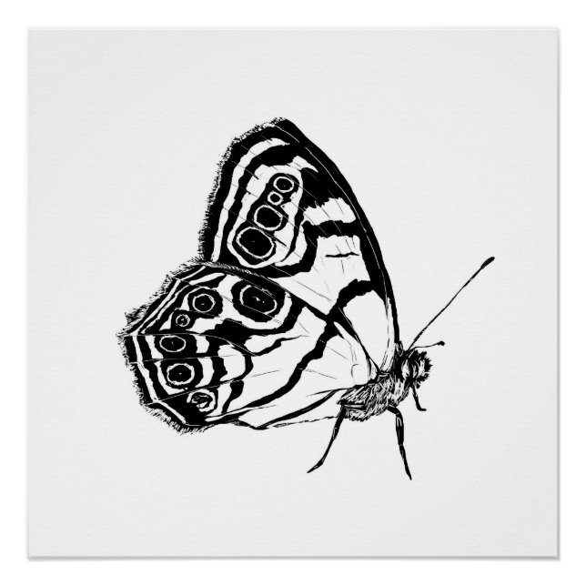 Monochromer Schmetterling Poster (Vorderseite)
