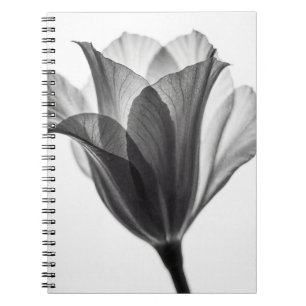 Monochromes botanisches Fine-Art-Fotografie Notizblock