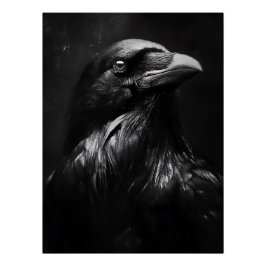 Monochromes Rabenporträt Poster