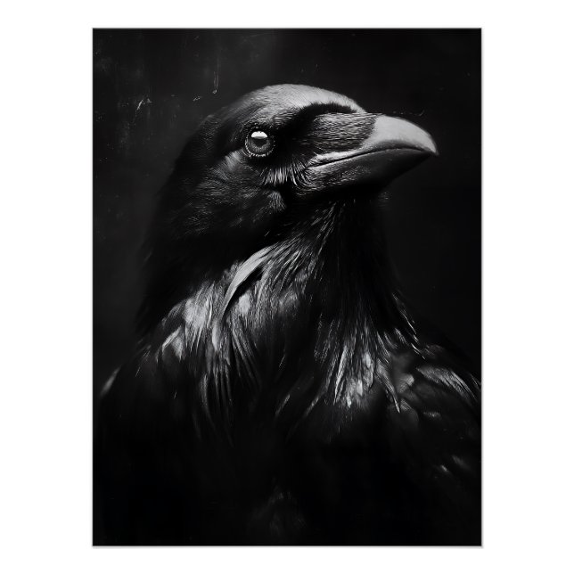 Monochromes Rabenporträt Poster (Vorderseite)