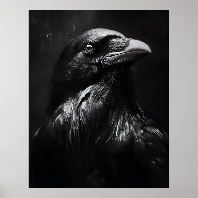 Monochromes Rabenporträt Poster (Vorne)