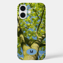 Monogram Green Tree Crown Foto mit blauem Himmel -