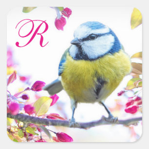 Monogramm für Vögel und Rosa Blüten Quadratischer Aufkleber