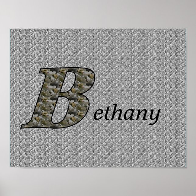Monogramm Ihr Name Initial B Hydrangea Poster (Vorne)