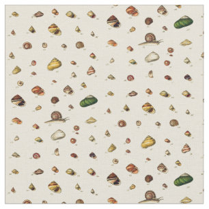 Monographien von Klassen der Muscheln Stoff
