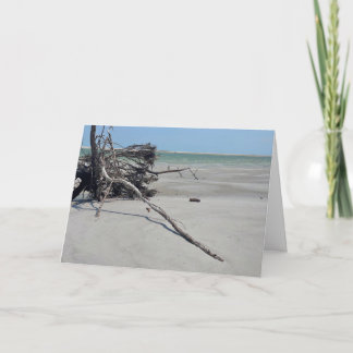 Monomoy National Wildlife Refuge in Cape Cod Karte