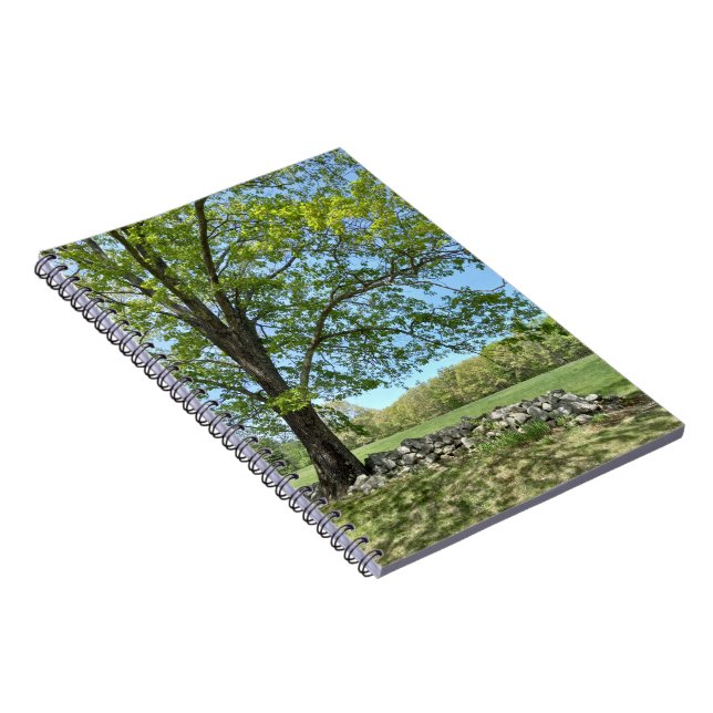 Monson Tree Portrait Spiral Notebook Notizblock (Rechte Seite)