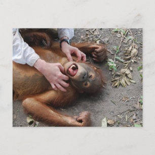 Monster Alien Attack Postkarte