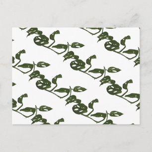 Monstera Adanosii Käseschnecken-Pflanze Muster Grü Postkarte