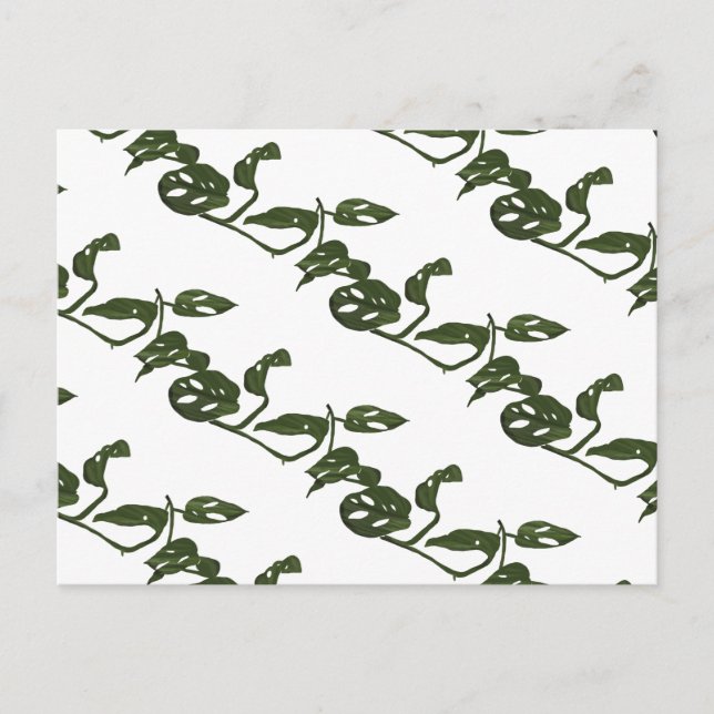 Monstera Adanosii Pflanze Muster Green Postkarte (Vorderseite)