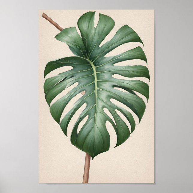 Monstera Alba Blume, wunderschön erdgesund Poster (Vorne)