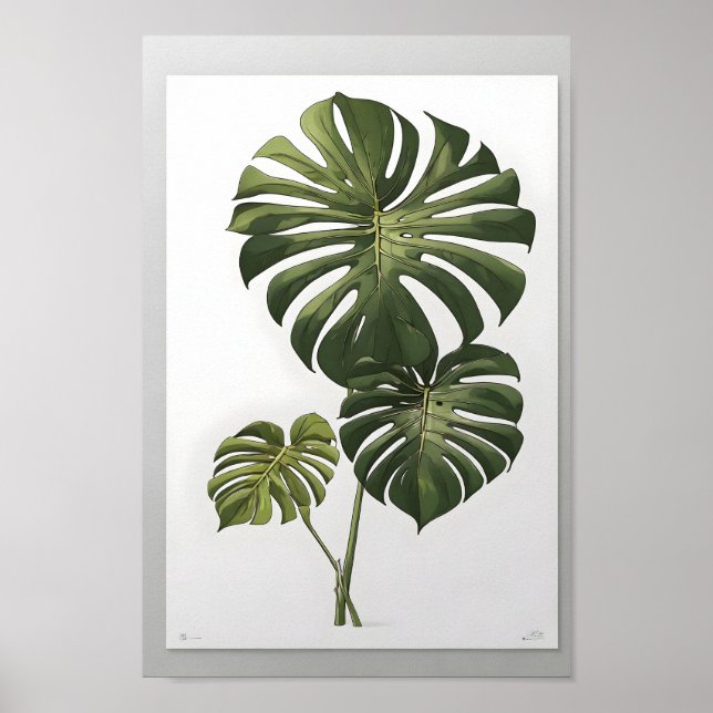 Monstera Albo Blume, schöne grüne Pflanze Poster (Vorne)