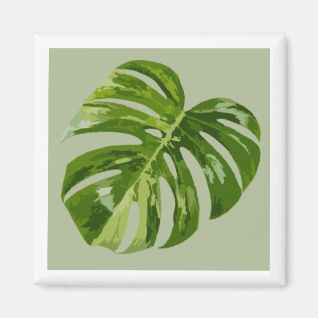 Monstera Albo Hero-Blatt-Magnet — Seltene Panaschi Magnet (Vorne)