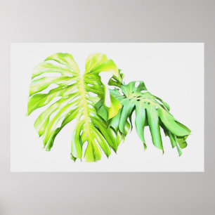 Monstera Artistic Leaf Study Poster