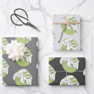 Monstera-Blatt Abstracte Pflanzenillustration Grau Geschenkpapier Set