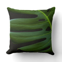 Monstera-Blatt von Nahem und Persönlich