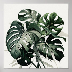 Monstera Blätter Art Print Poster