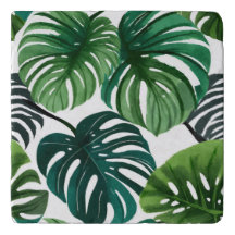 Monstera-Blätter | Einfache moderne Wasserfarbe