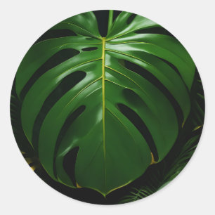 Monstera Blätter Gold Jungle Glamour Runder Aufkleber