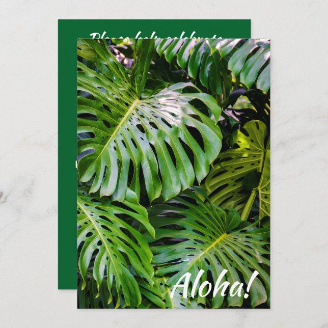 Monstera Blätter, Limahuli Gardens, Kauai, Hawaii Einladung (Vorne/Hinten)
