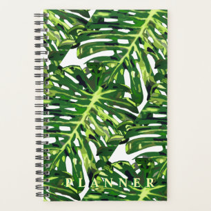 Monstera Blätter Planer