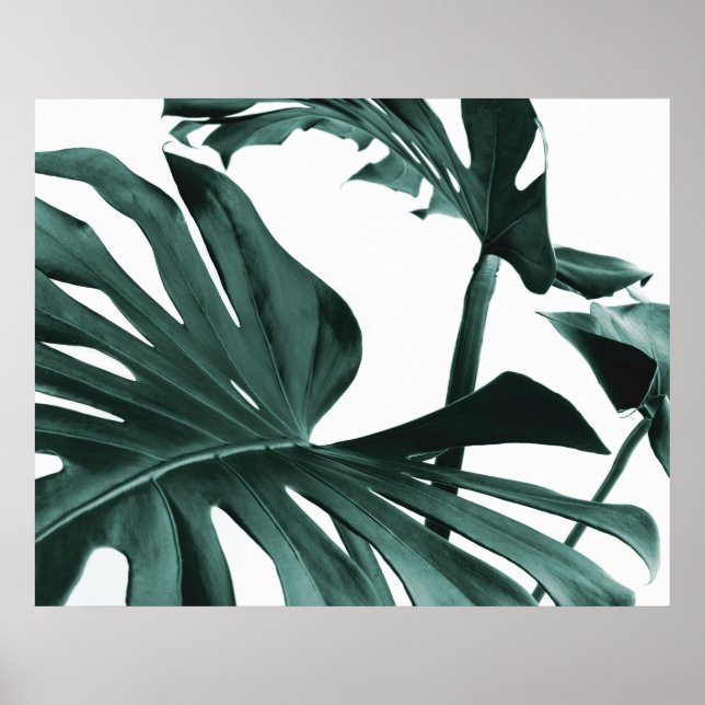 Monstera Blätter Poster (Vorne)