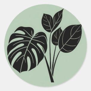 Monstera Blätter Tropischer Minimalistischer Salbe Runder Aufkleber
