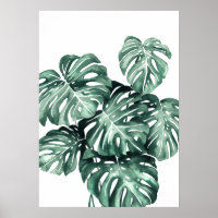 Monstera Deliciosa Blätter