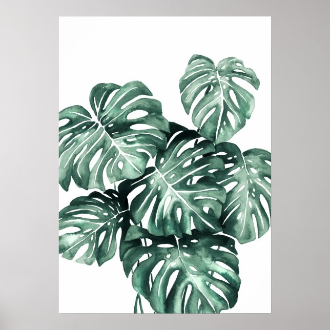 Monstera Deliciosa Blätter Poster (Vorne)