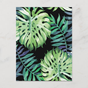 Monstera Deliciosa Hawaiian Island Tropics Blätter Postkarte