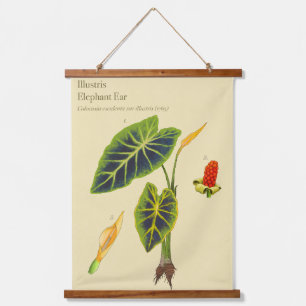 Monstera Elefantenohr Botanischer Wandteppich Mit Holzrahmen