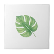 Monstera grünes Blatt