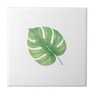 Monstera grünes Blatt Fliese