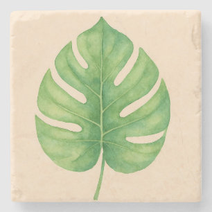 Monstera Grünes Blattdesign. Steinuntersetzer