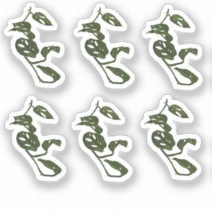 Monstera Kletterpflanze Zeichnung Design Aufkleber