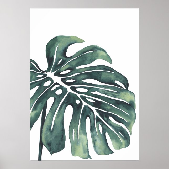 Monstera Leaf 4 Poster (Vorne)