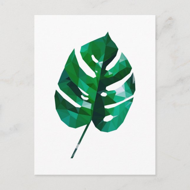 Monstera Leaf Postcard Postkarte (Vorderseite)