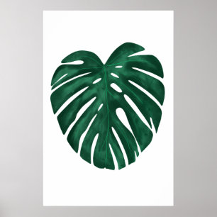 Monstera Leaf Tropische Pflanze Poster