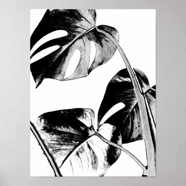 Monstera Palm Blätter tropisch schwarz-weiß Poster (Vorne)