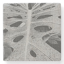 Monstera Silkscreen