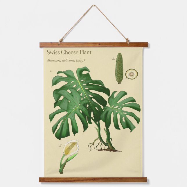 Monstera Swiss Cheese Botanical Wall Tapestes Wandteppich Mit Holzrahmen (Vorderseite)