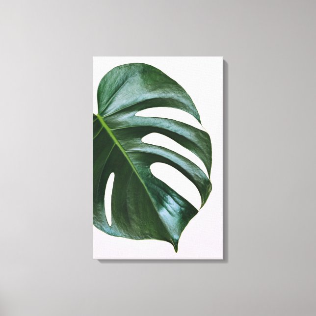 Monstera Tropical Leaf Leinwanddruck (Vorderseite)