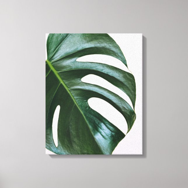 Monstera Tropical Leaf Leinwanddruck (Vorderseite)