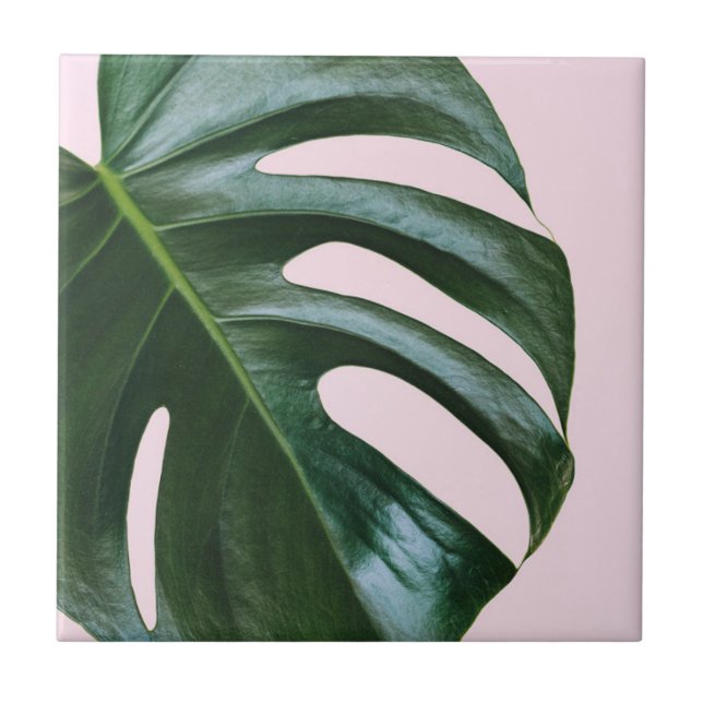 Monstera tropisches Blatt Fliese (Vorderseite)