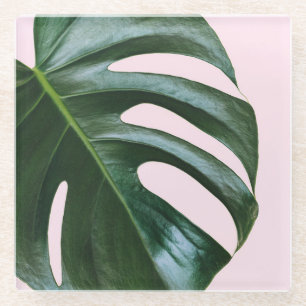 Monstera tropisches Blatt Glasuntersetzer