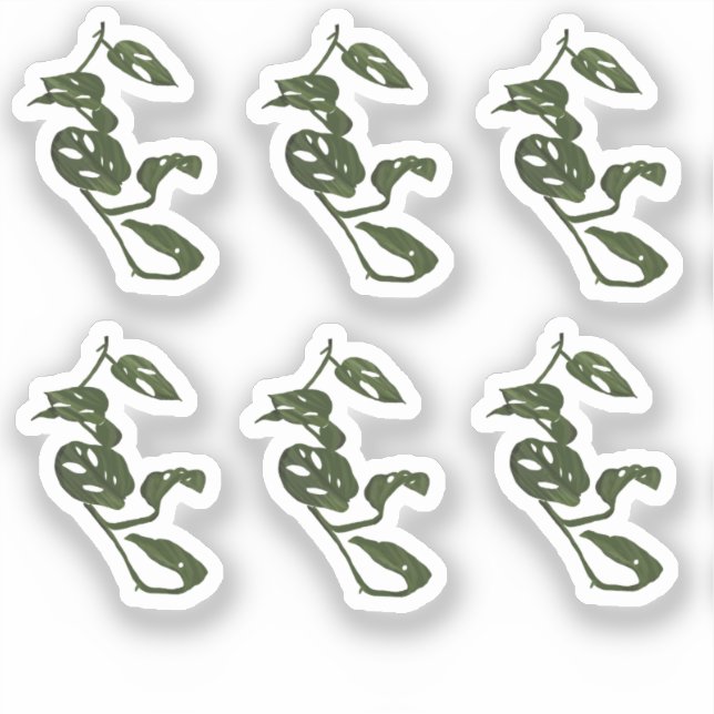 Monstera Vine Pflanze Zeichne Design Sticker (Vorderseite)