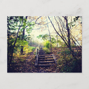 Mont-Royal Automne Postkarte